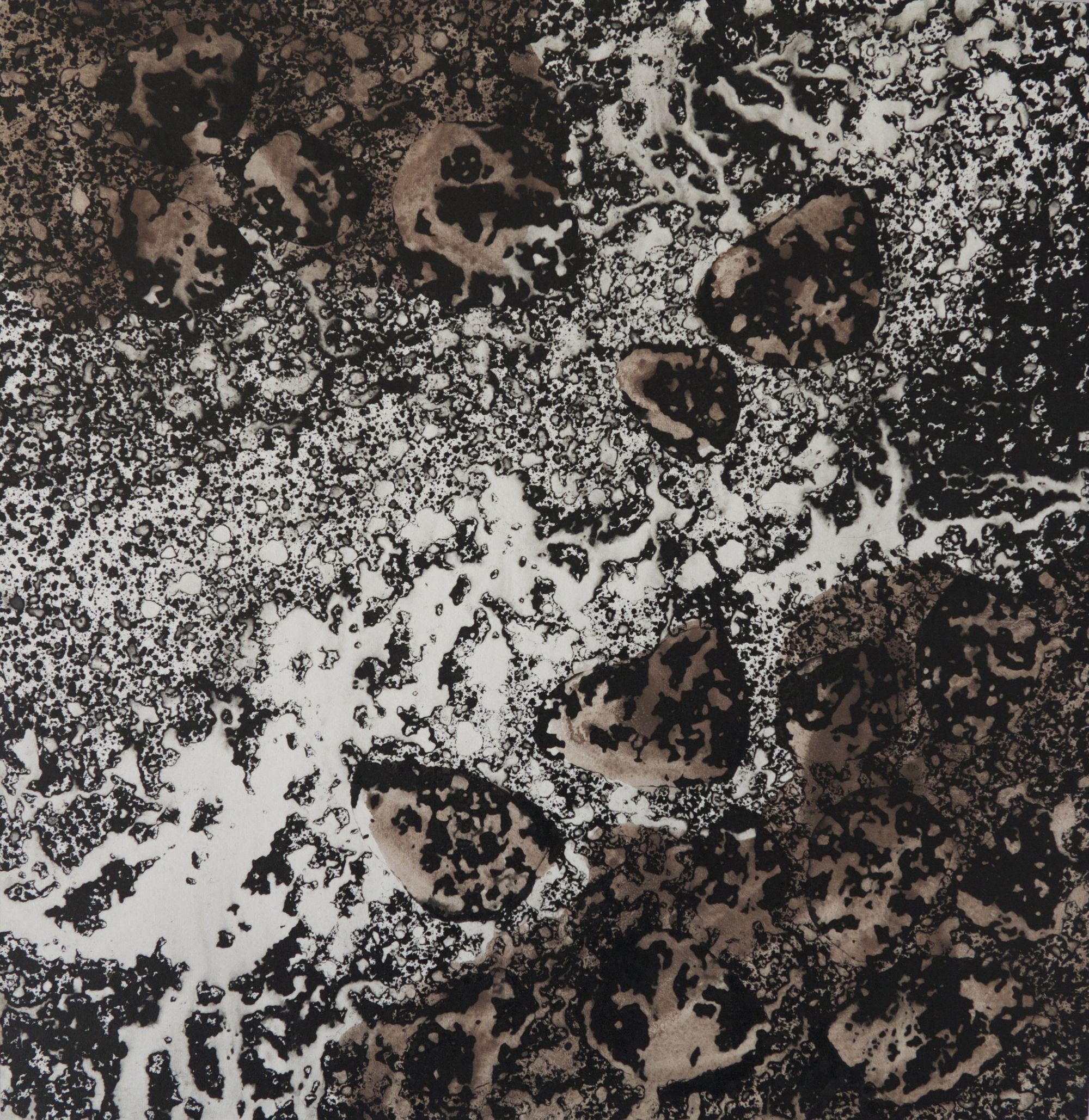 Lave torrentielle #1, 36 x 38 cm, 2014