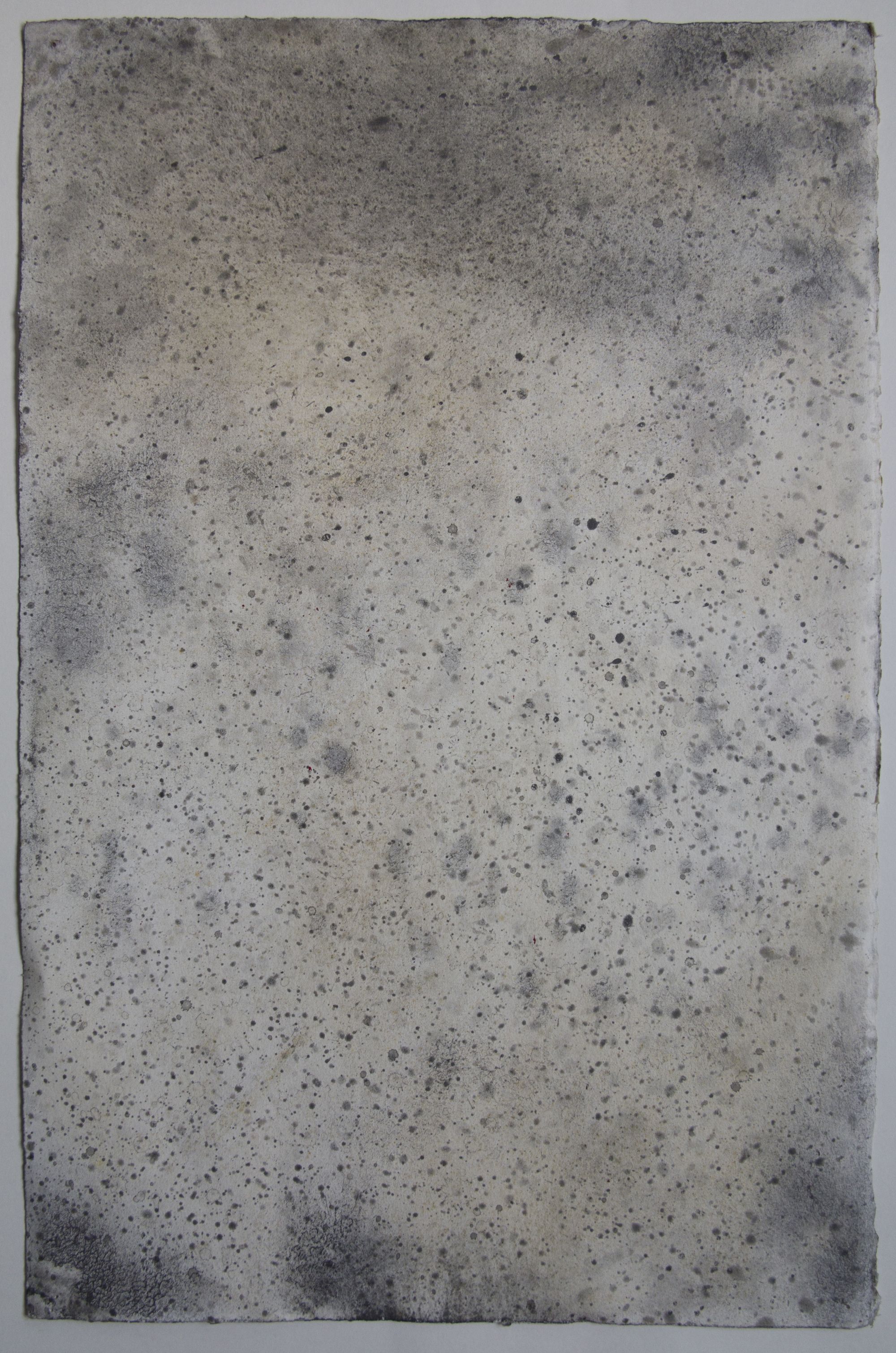 Sable #1, 50 x 32.5cm, 2011