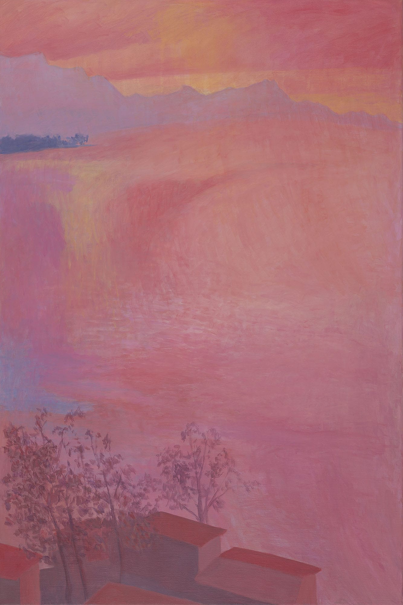 120 x 80 cm